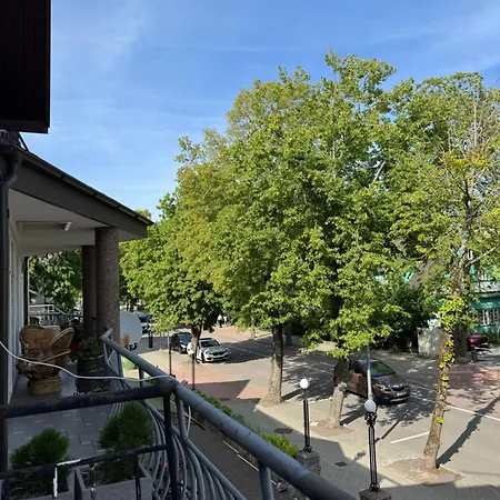 Daire Terasa Palangoje