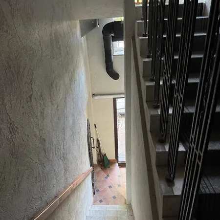 Terasa Palangoje Daire Palanga