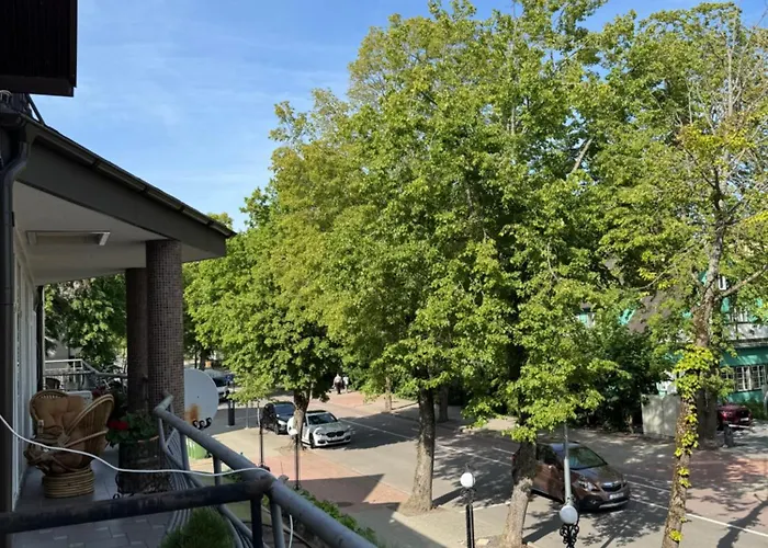 Daire Terasa Palangoje