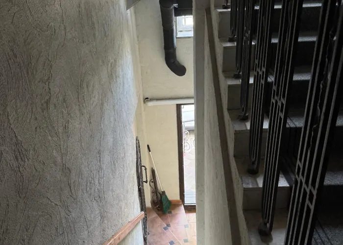 Terasa Palangoje Daire Palanga